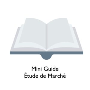 Mini guide étude de marché